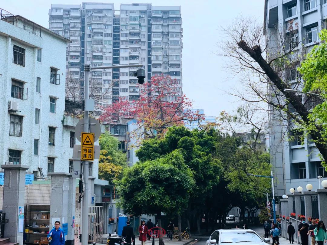 廣州舊廠多少錢