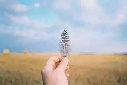 廣州情感心理咨詢