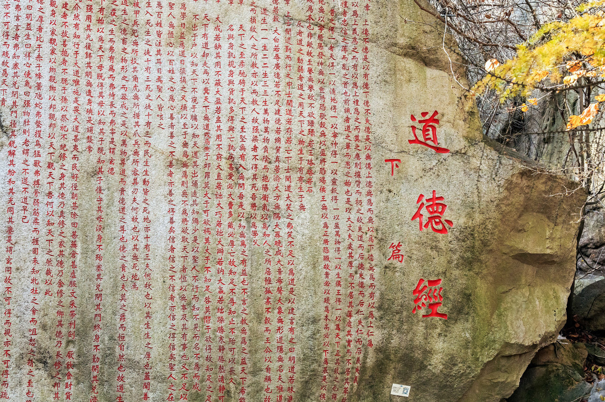 趙小明：關于心理咨詢，你想要的一切本質答案都在這里
