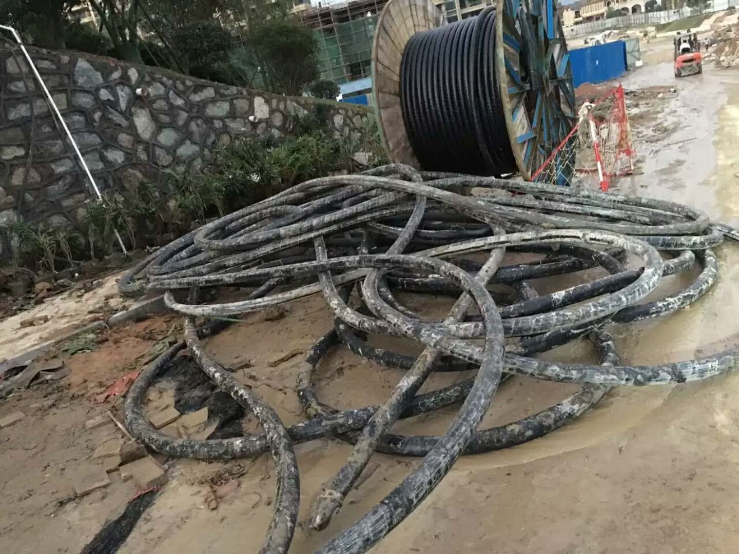 電動車廢電機拆解設備_衡陽廢電機多少錢_電機是危廢嗎