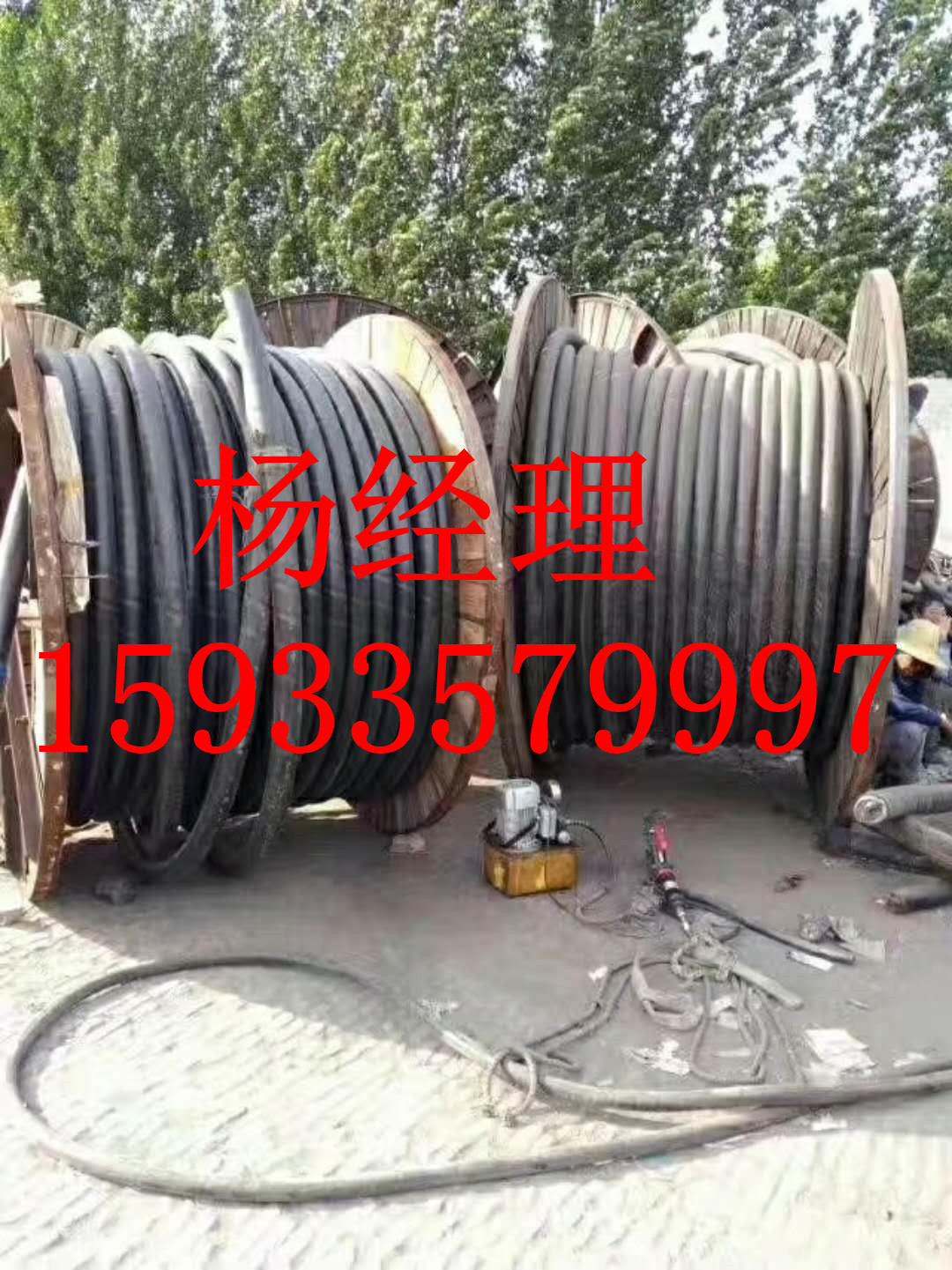 市銅電纜回收聯系