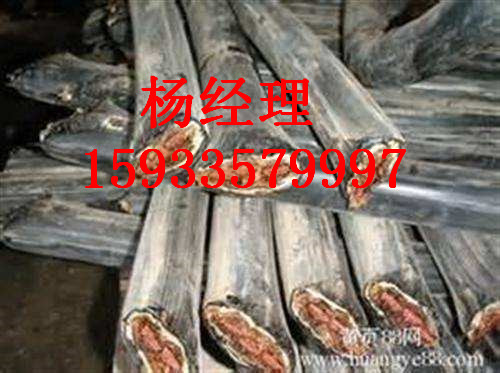 市銅電纜回收聯系