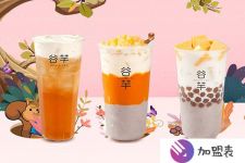 貴陽加盟店價格