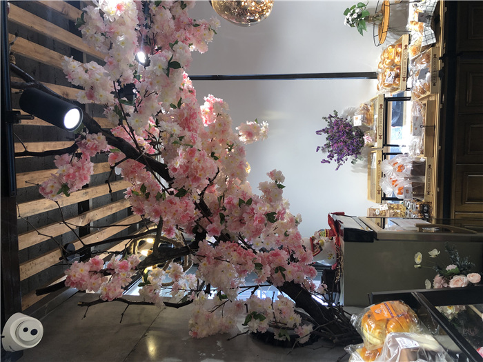 中山賓館設計