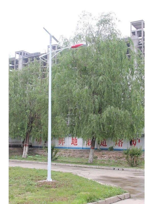 海口市6米太陽能路燈價錢光伏路燈安裝工程案例