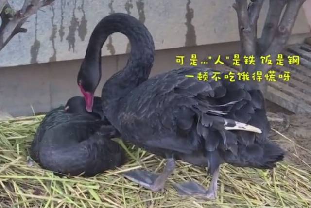 西安安裝攝像頭