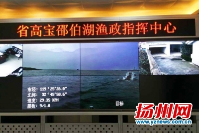 27套高清探頭監控高寶邵伯湖 非法捕撈毒鳥等都能抓拍