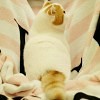蘇州LG空調售后服務電話