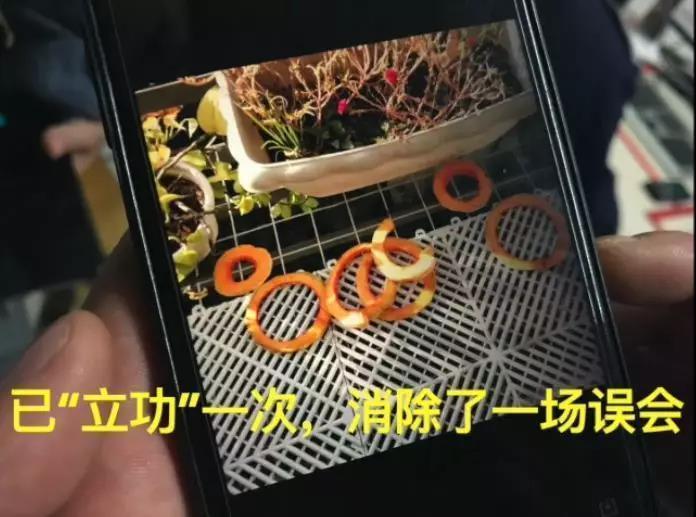 霸氣！浙江一小區花14萬裝了64個攝像頭，集體朝上！效果太驚人