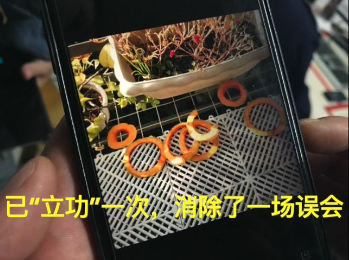 霸氣！浙江一小區花14萬裝了64個攝像頭，集體朝上！效果太驚人