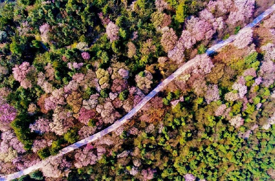 櫻花熱水器官網電話_飛羽熱水龍頭漏水怎樣維修視屏_沈陽櫻花熱水器維修中心