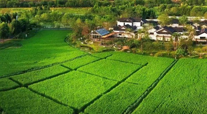 杭州買廠房_杭州廠房收購_杭州 廠房 出租