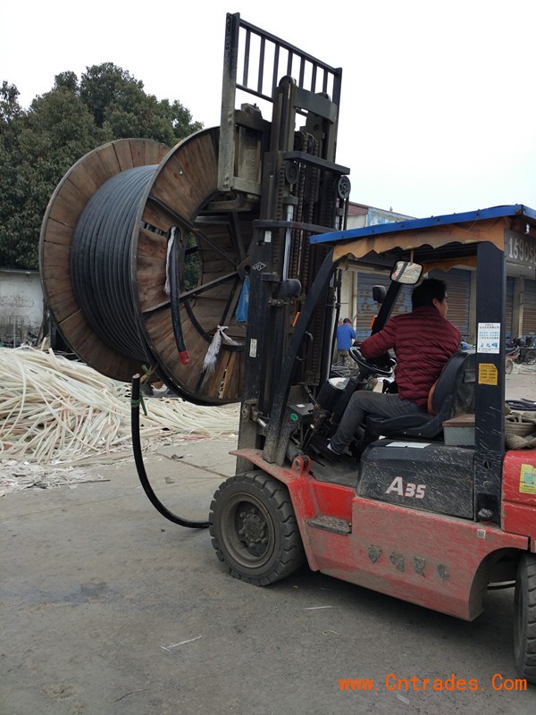 濟南整廠收購_濟南骨粉廠收購廢骨頭_濟南長清上層收購濟南楊波書畫