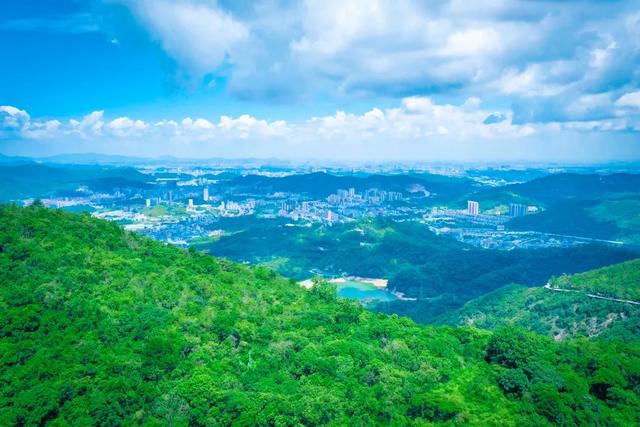 石家莊大金空調服務熱線_石家莊大金空調_石家莊大金空調招聘信息