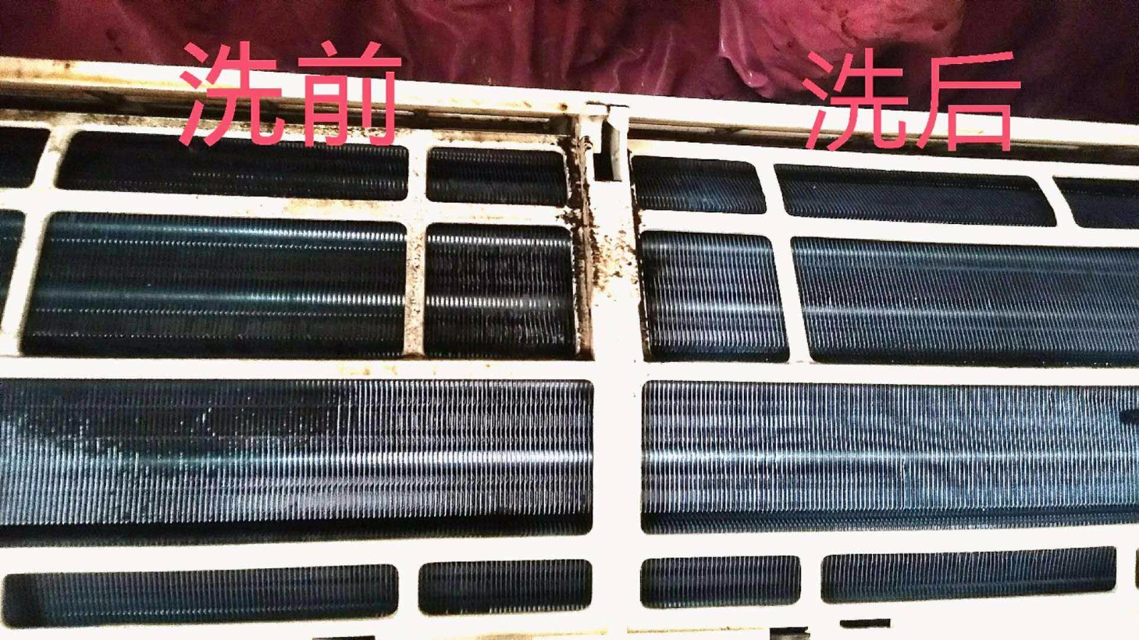 石家莊大金空調招聘信息_石家莊大金空調服務熱線_石家莊大金空調
